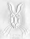 Picture of a rabbit, frontal angle