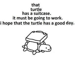 Suitcase Turtle