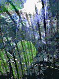 rain2o.gif