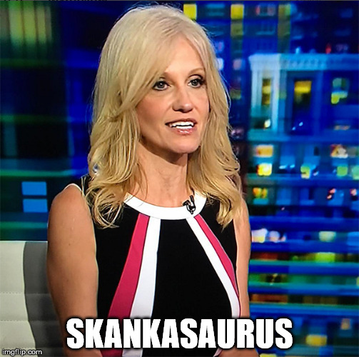 Kellyanne Conway is giving commentary for a news show. She is wearing a dress and her hair is down, and she appears to be mid-sentence. Bottom text reads “skankasaurus.”